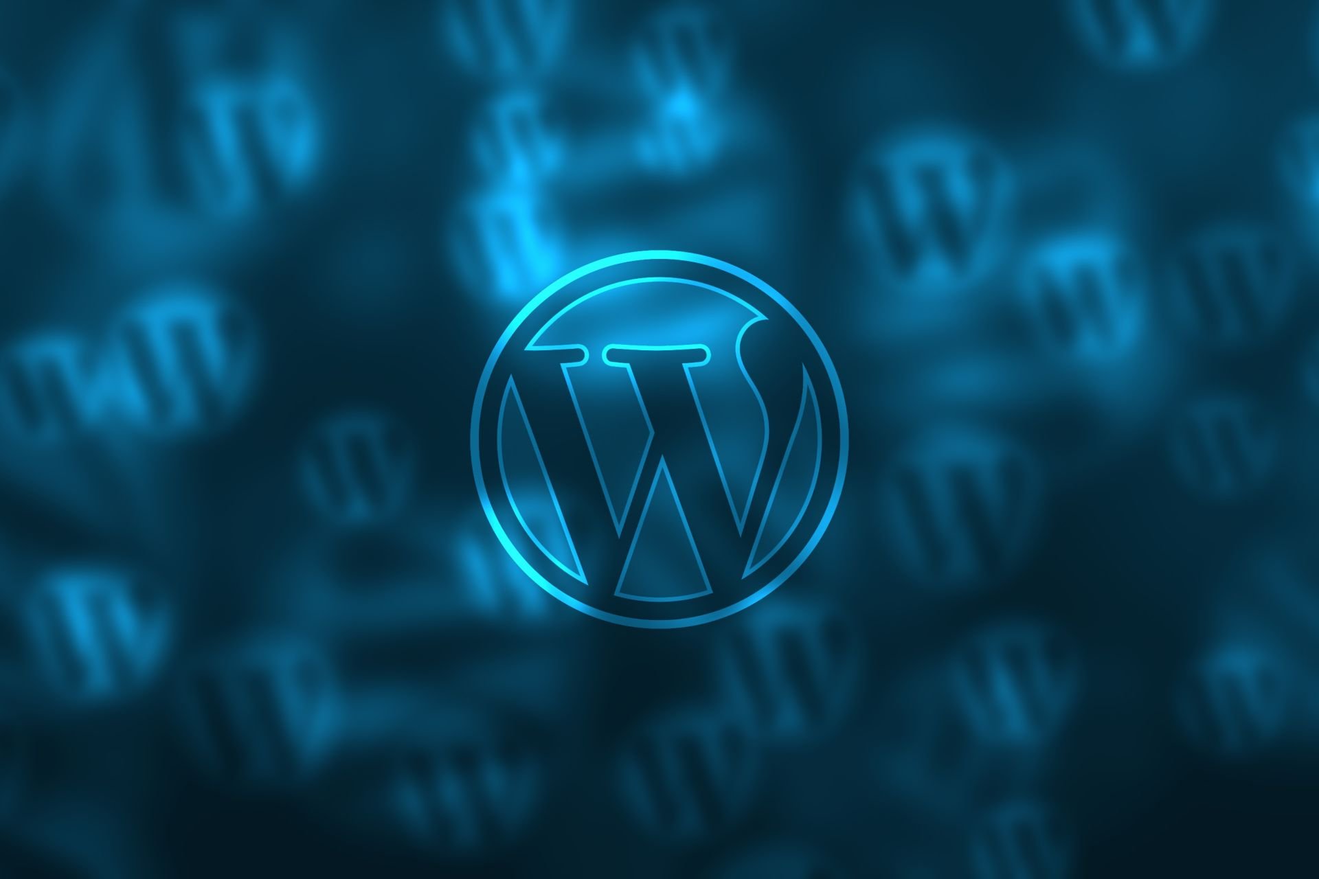 aggiornamento assistenza wordpress  Verona  Image of WordPress e l'Open Source: Cosa Significa Davvero il Software Open Source?   aggiornamento assistenza wordpress  Verona